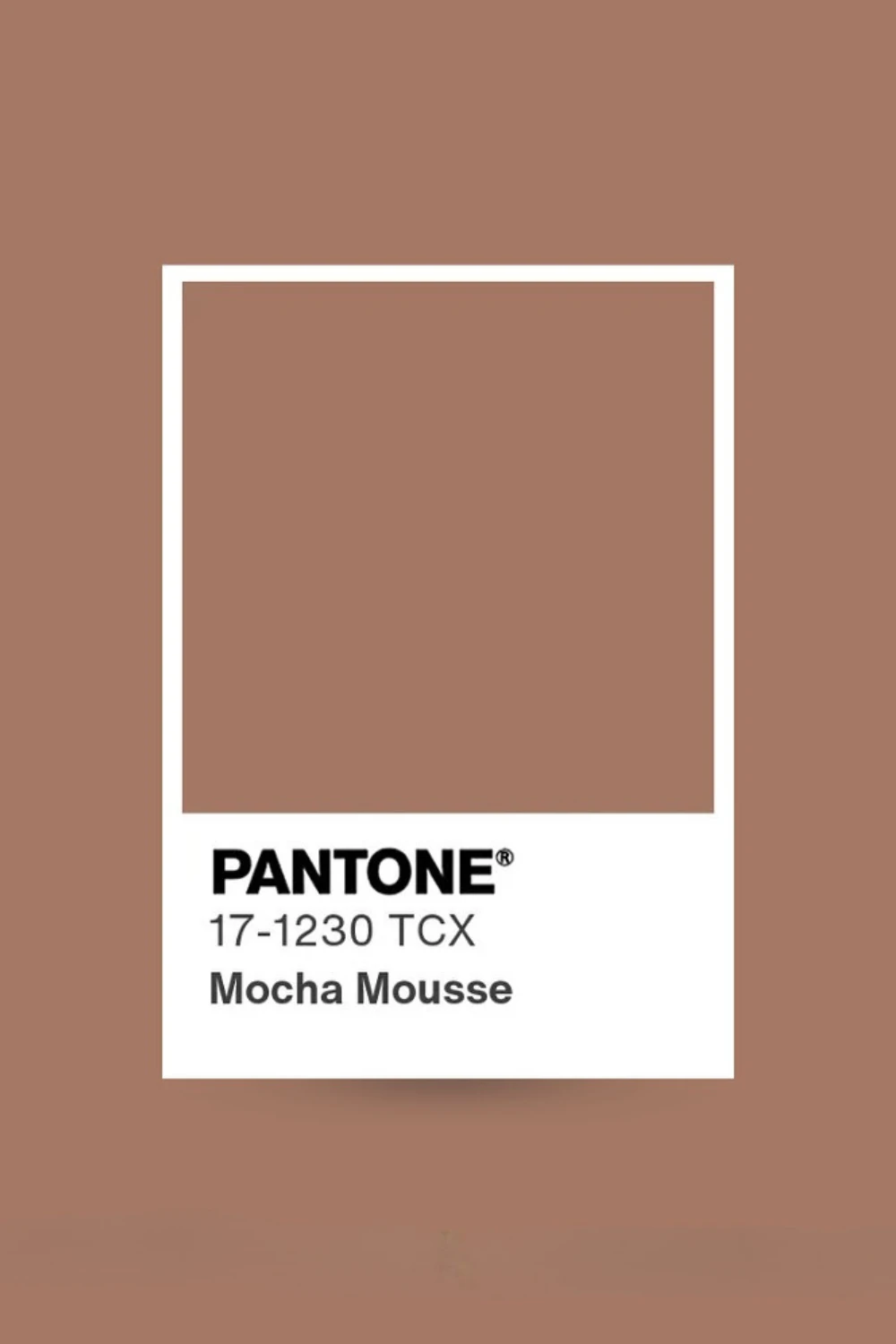 Mocha Mousse: Pantone объявил цвет 2025 года