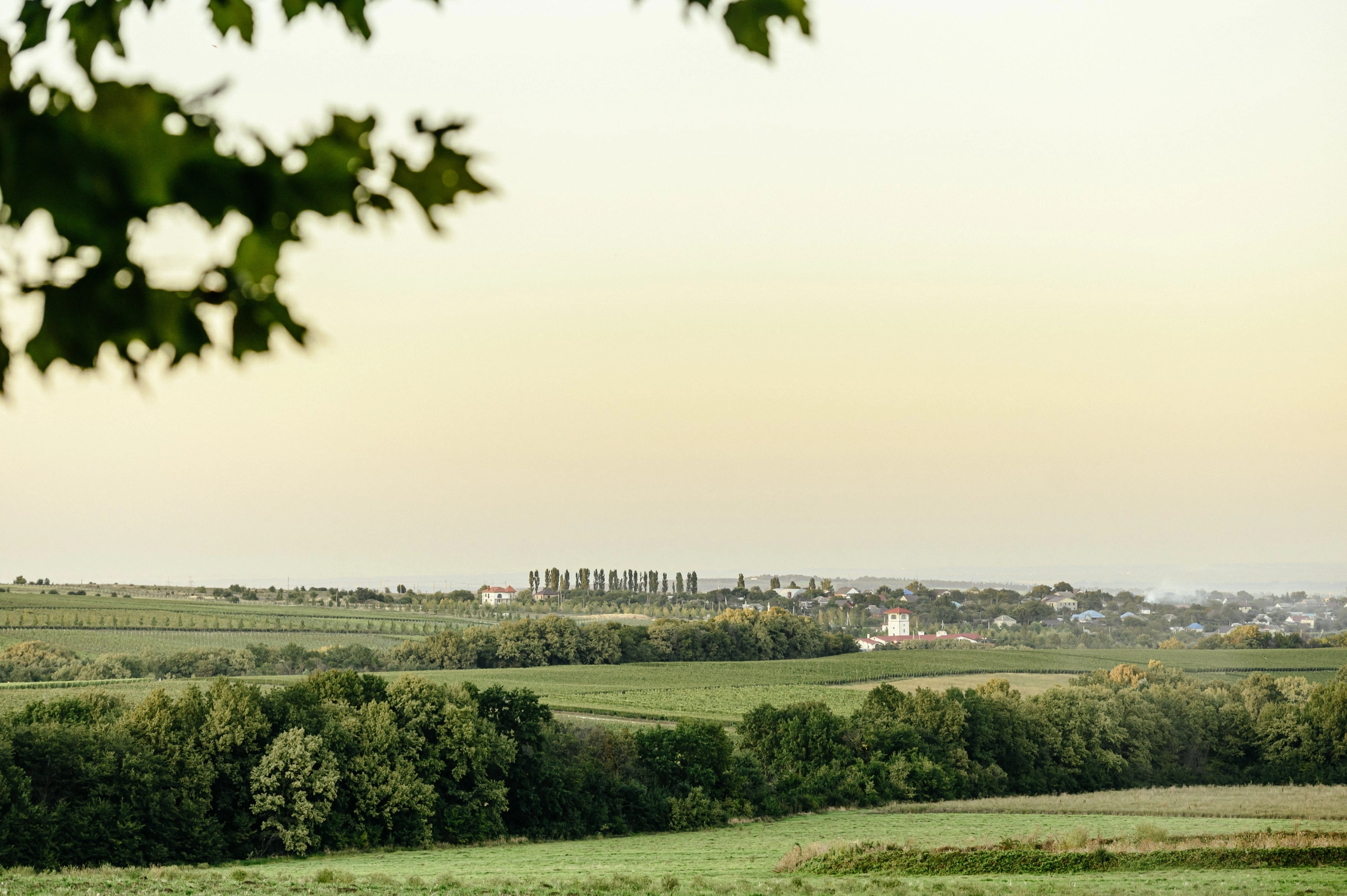 пастораль зелёные поля лес горизонт пейзаж сельский ландшафт природа