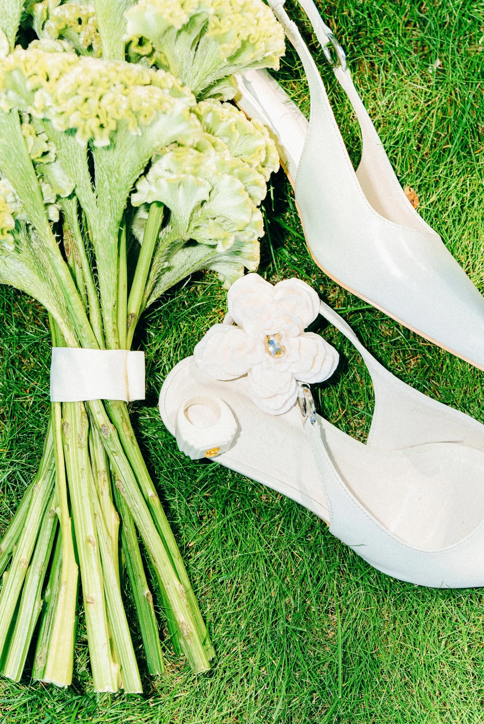 Фото из портфолио