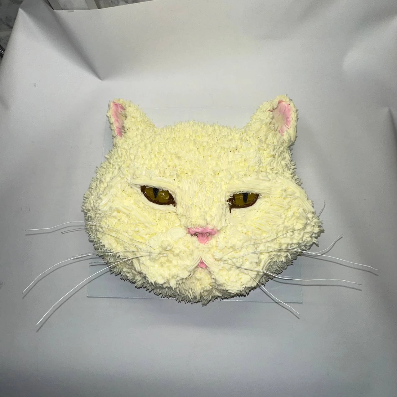 Фигурный торт мордочка белого кота с розовым носом и длинными усами крупным планом