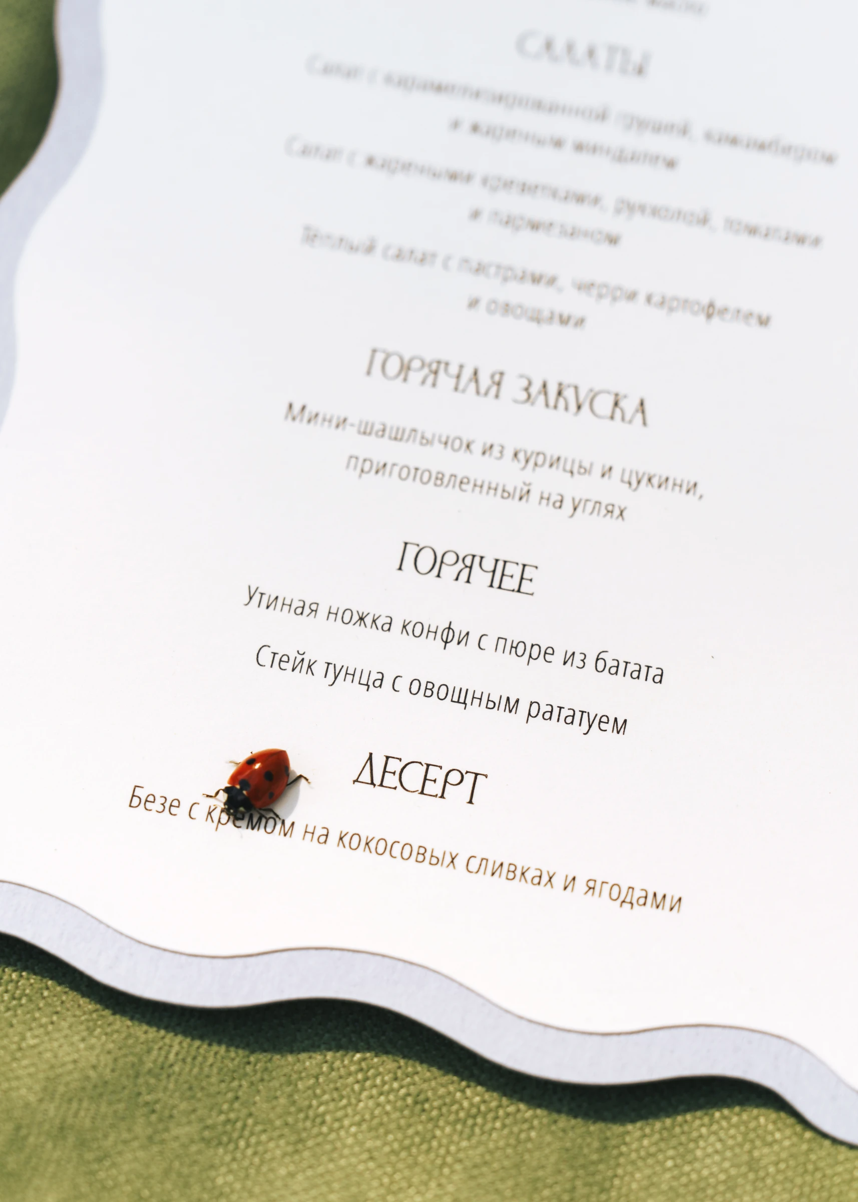 карточка меню банкета крупным планом с божьей коровкой на столе