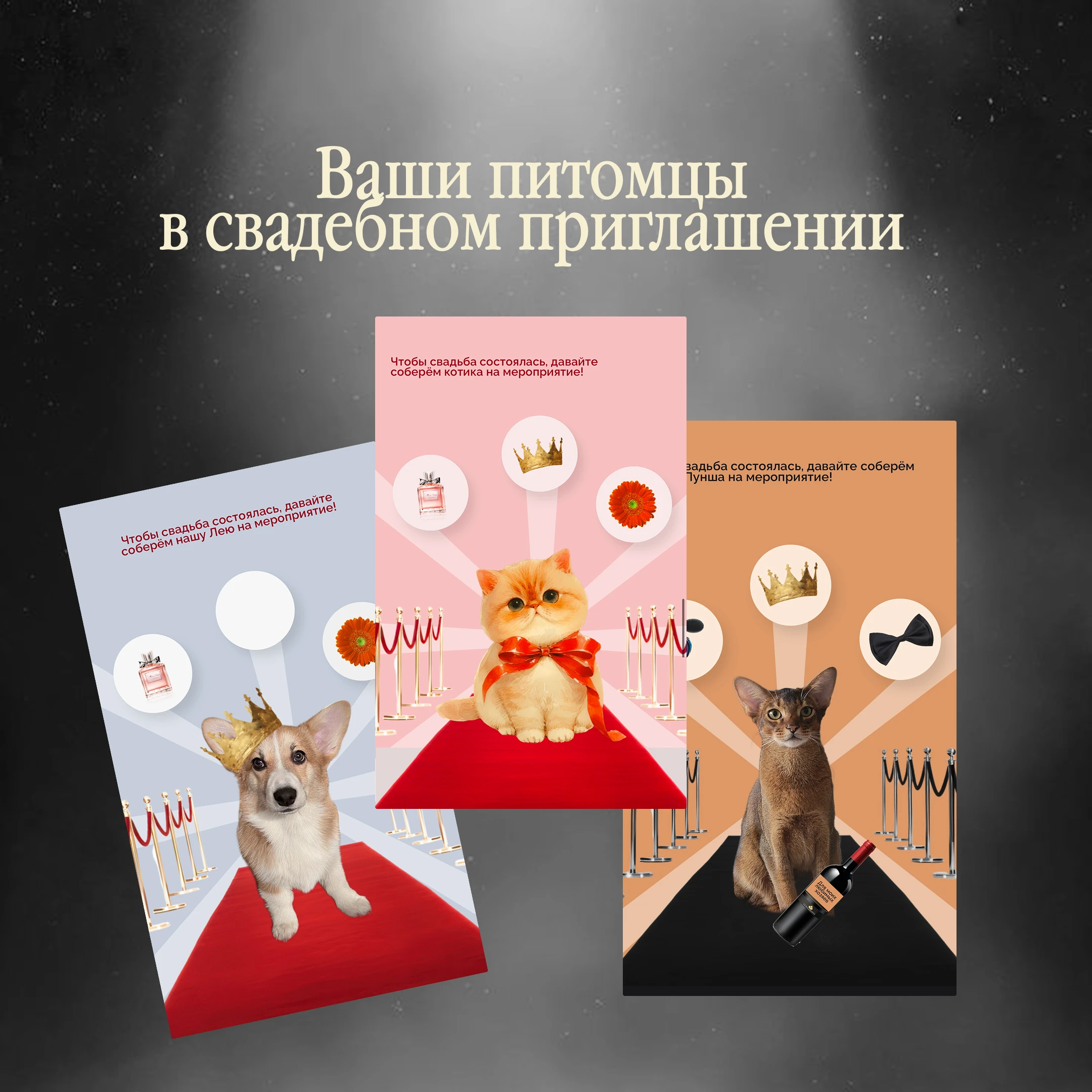 свадебные приглашения с фотографиями питомцев в коронах на дорожке