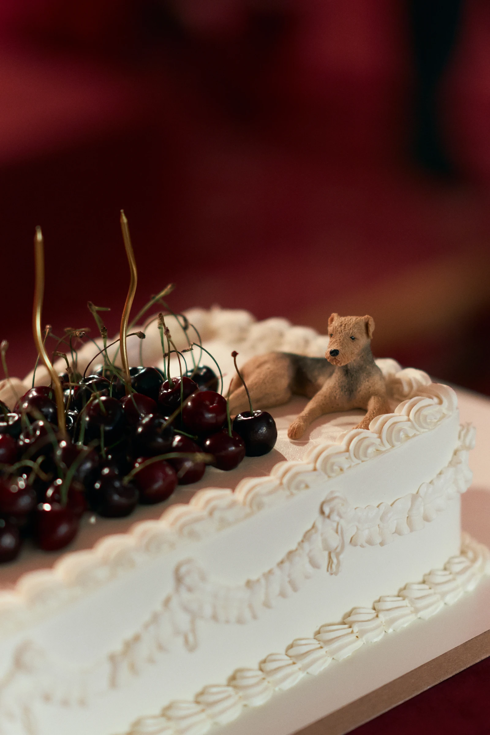 Агентство: работа Свадебное агентство D&DWedding and Event / ДнДИвент — кадр 22