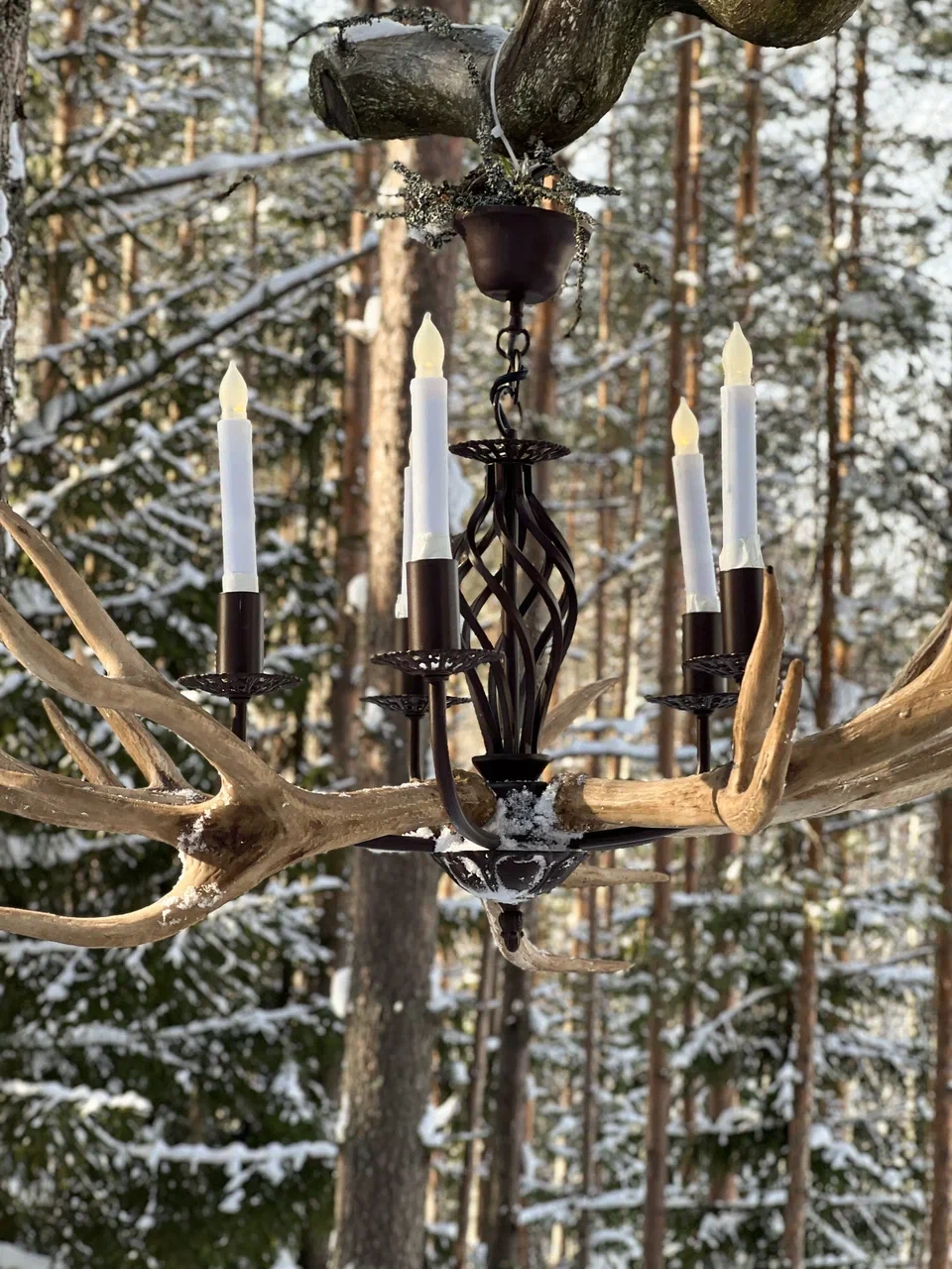 Декоратор: работа Navi Decor — кадр 50